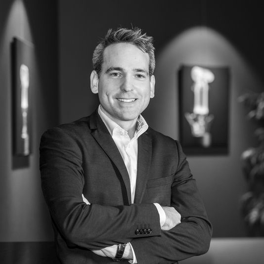 Domenig_Benjamin_SSE_Engineering