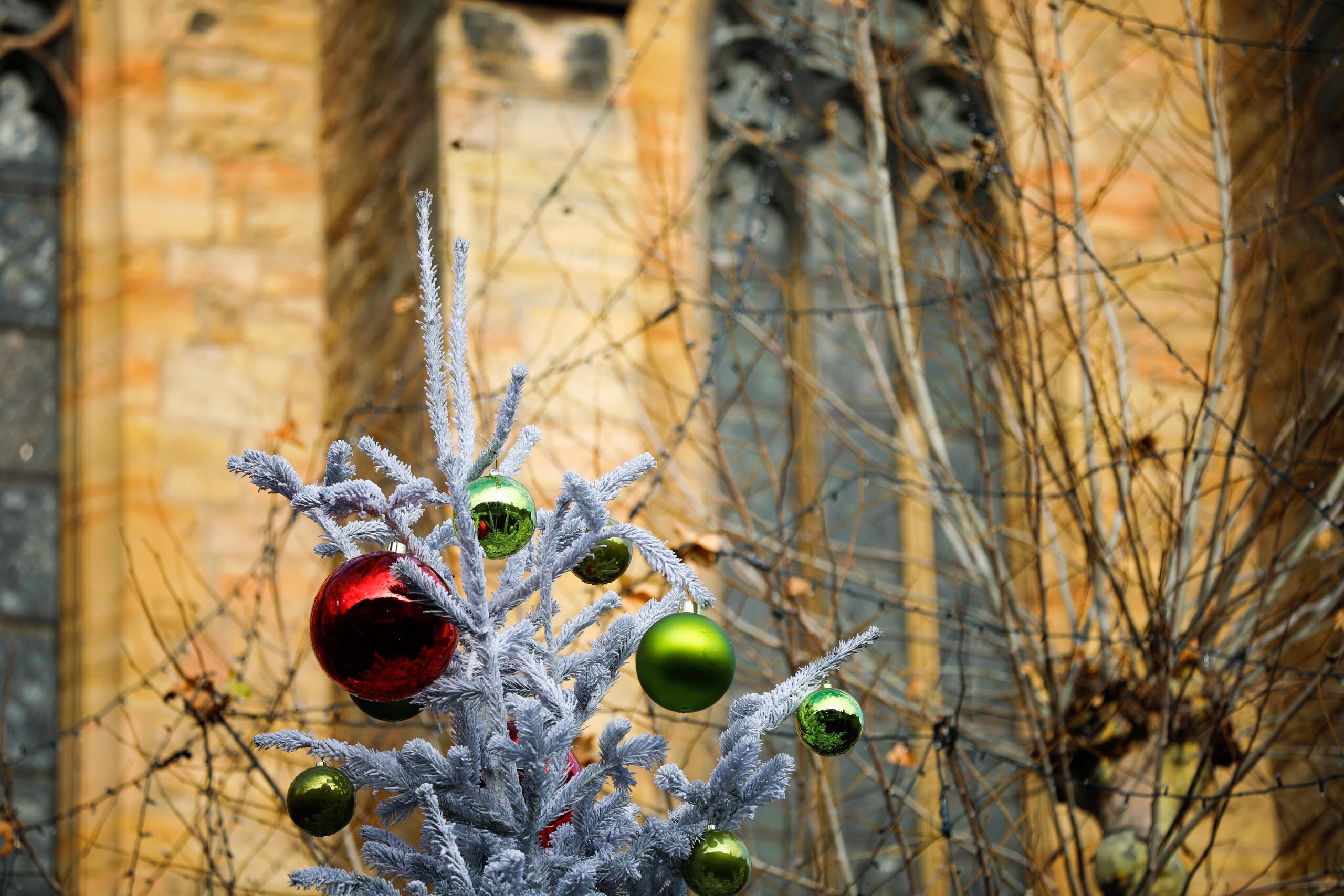 20171201-_t6a0094.jpg 20171201-_t6a0094.jpg